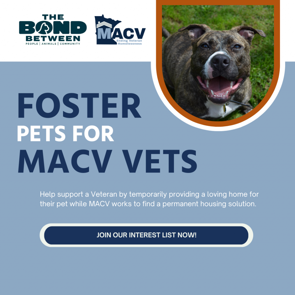 5 Reasons To Foster The Pet Of A MACV Vet