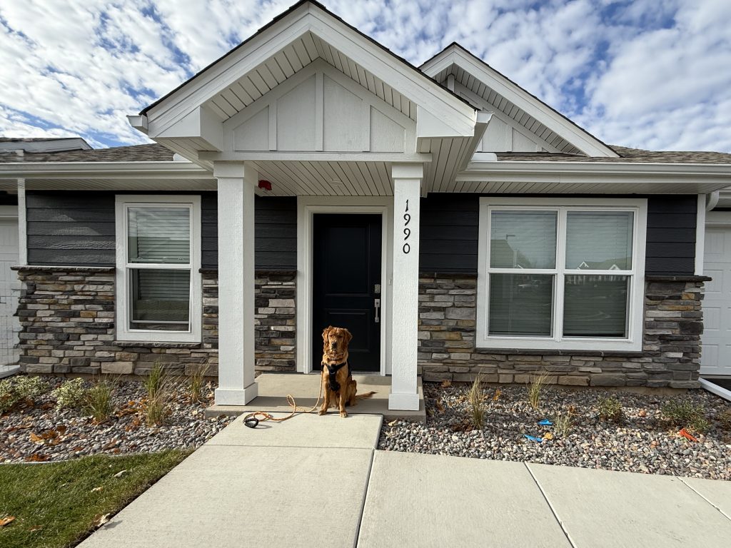 Image - 2025-11-14T090551.206 (1)